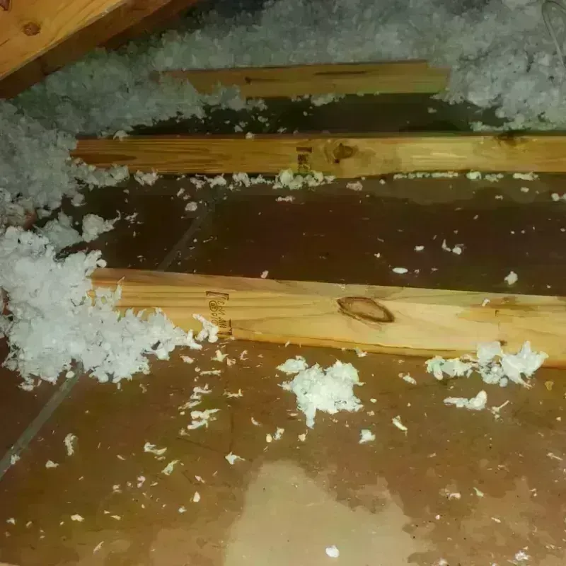 Attic Water Damage in Rome, ME